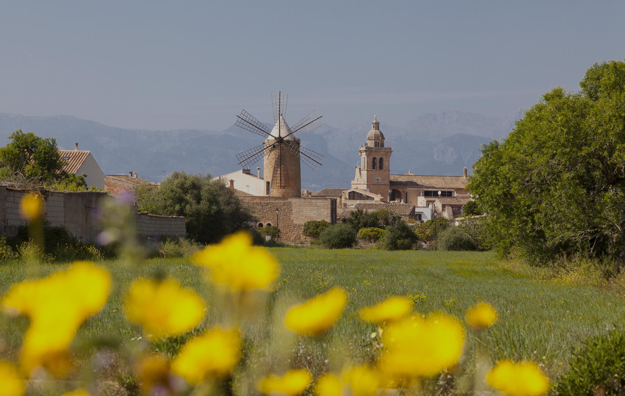 buy-a-property-in-algaida-a-unique-spot-in-mallorca-homeing